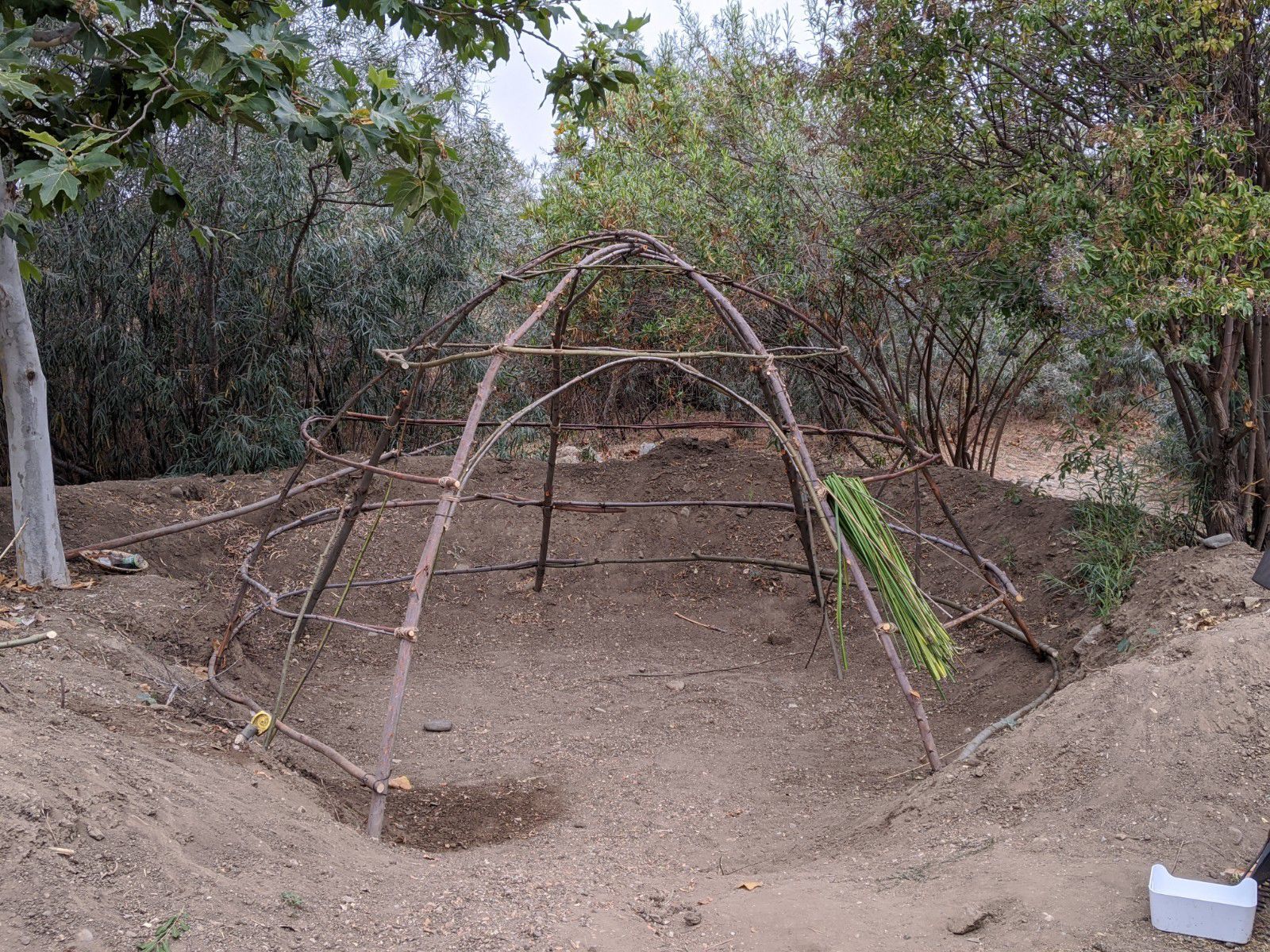 082520 SYV Botanic Garden Tul 'Ap 6